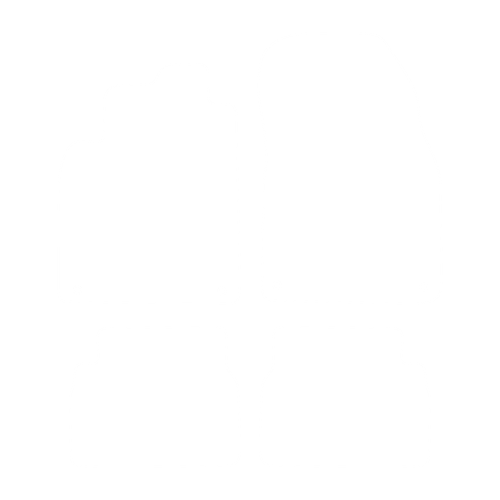 EVA-Fahrermatte für Saab 9-3 II 2002-2011- - Umriss