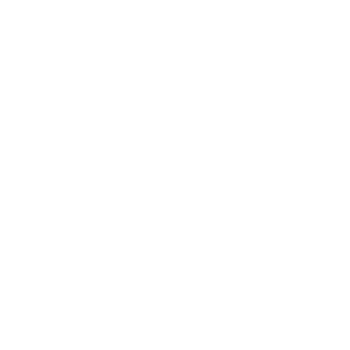 EVA-Fußmatten-Set für Saab 9-3 I 1998-2002 - Umriss