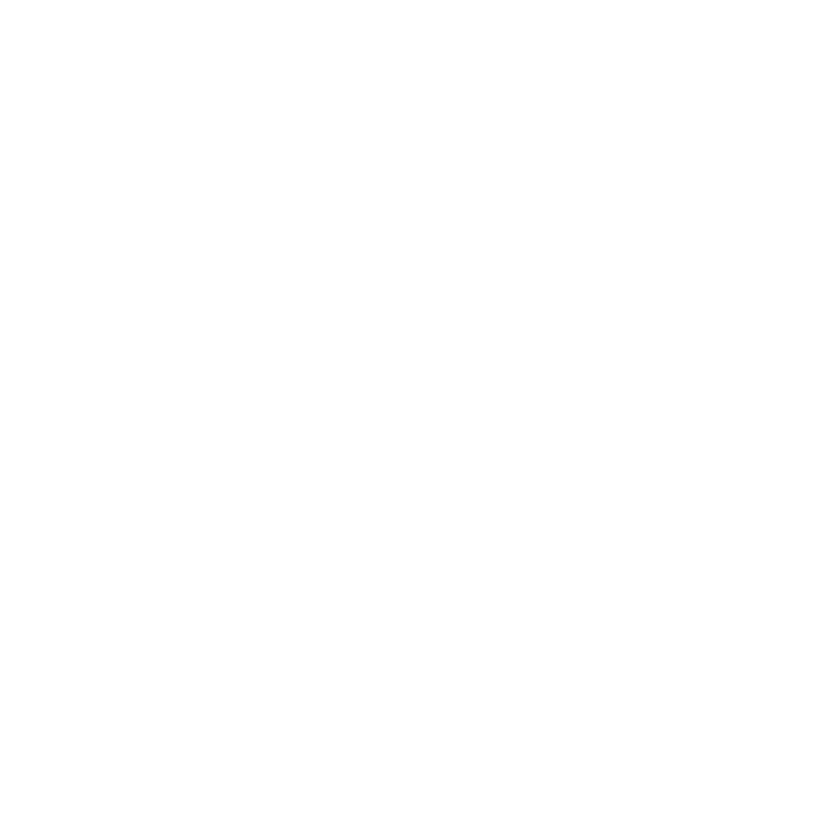 EVA-Fußmatten-Set für Saab 9-3 I 1998-2002 - Umriss