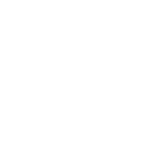 EVA-Fahrermatte für Smart Fortwo III 2014-2020 - Umriss