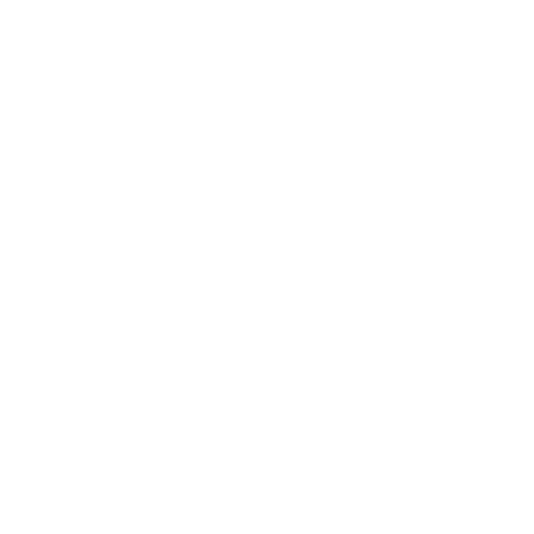EVA-Fußmatten-Set für Smart Roadster 2003-2005 - Umriss
