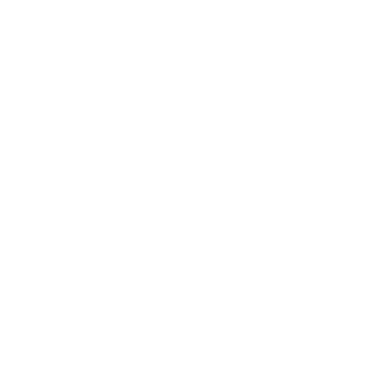 EVA-Fußmatten-Set für Subaru Outback V 2014-2019 - Umriss