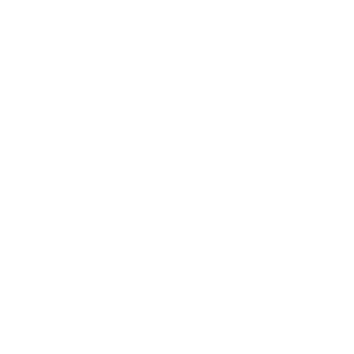 EVA-Fahrermatte für Suzuki Kizashi 2009-2014 - Umriss