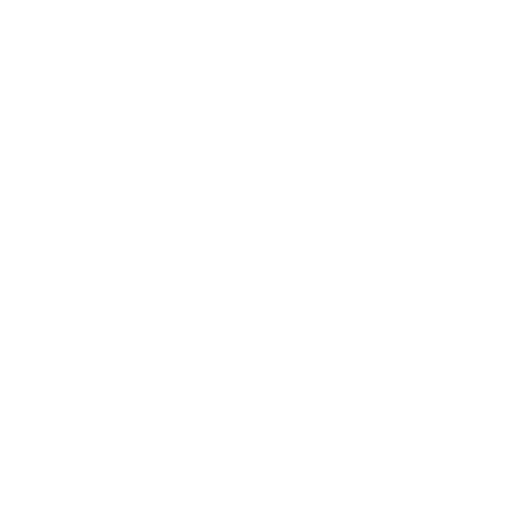 EVA-Fußmatten-Set für Suzuki Liana 2004-2007 - Umriss