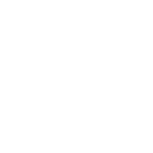 EVA-Fußmatten vorne für Toyota Corolla XI E160 2013-2019 - Umriss