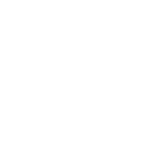 EVA-Fahrermatte für Toyota Paseo 1991-1999 - Umriss