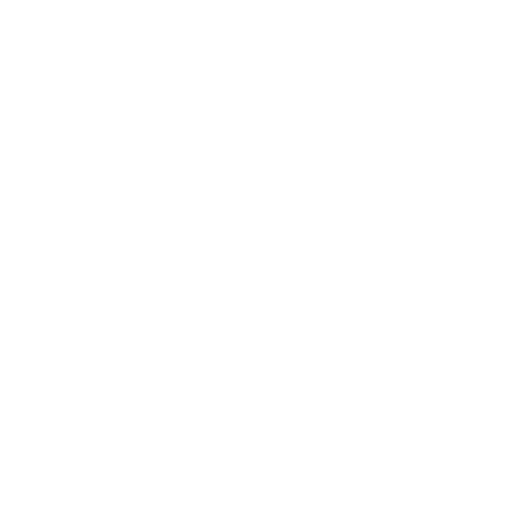 EVA-Fahrermatte für Toyota Paseo 1991-1999 - Umriss