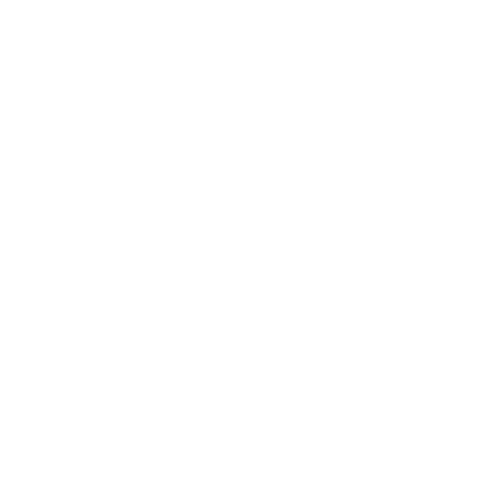 EVA-Fußmatten vorne für Toyota Land Cruiser J80 1990-1997 - Umriss
