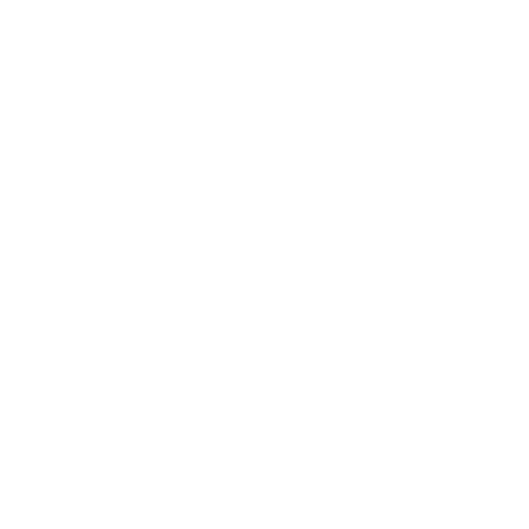 EVA-Fußmatten-Set für Toyota Land Cruiser J80 1990-1997 - Umriss