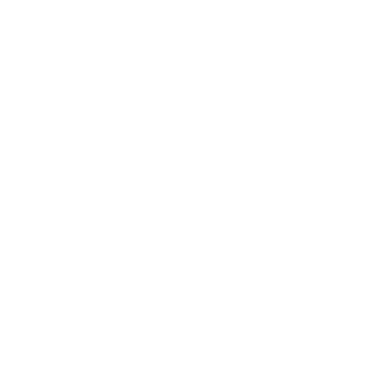 EVA-Fußmatten vorne für Toyota RAV4 II 2000-2003 (3 Türen) 2000-2003 - Umriss