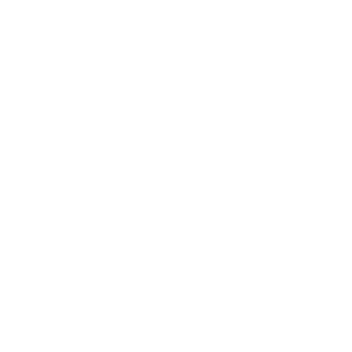 EVA-Fußmatten-Set für Toyota RAV4 II 2000-2003 (3 Türen) 2000-2003 - Umriss