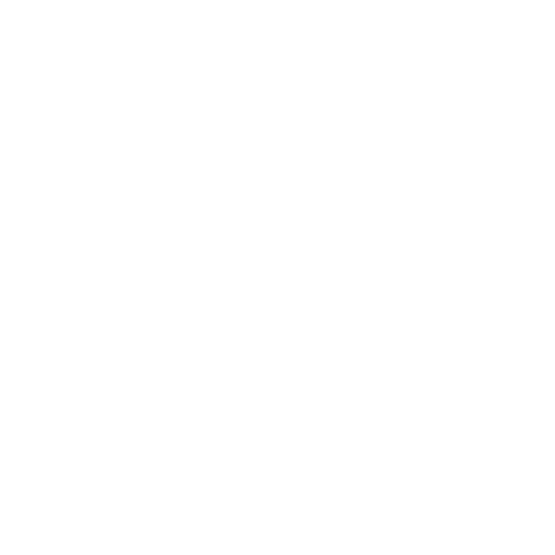 EVA-Fahrermatte für Volkswagen Touareg I 2002-2010 - Umriss