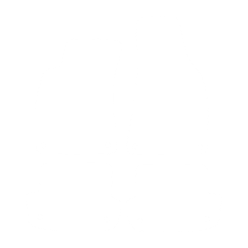 EVA-Fahrermatte für Audi A4 II B6 Cabrio 2002-2006 - Umriss