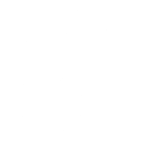 EVA-Fahrermatte für Audi A4 II/III B6/B7 2000-2007 - Umriss