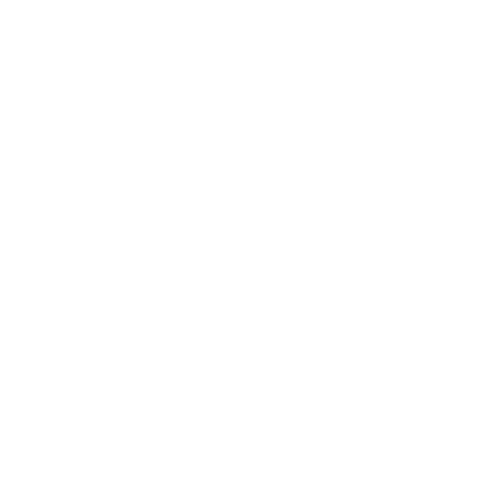 EVA-Fahrermatte für Audi 80 B4 Coupe 1990-2000 - Umriss