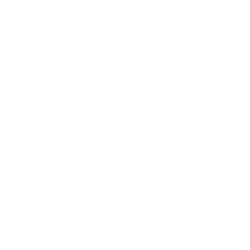EVA-Fahrermatte für BMW X3 E83 2004-2010 - Umriss