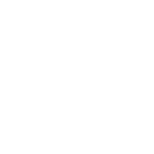 EVA-Fahrermatte für Citroen C3 II 2009-2016 - Umriss