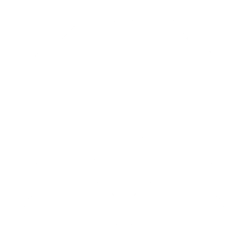 EVA-Fahrermatte für Fiat Cinquecento 1991-1998 - Umriss