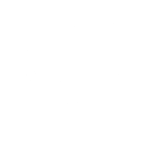 EVA-Fahrermatte für Ford C-max II 2010-2019 - Umriss