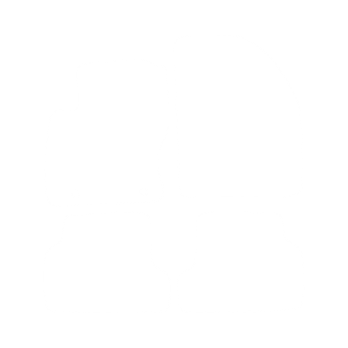 EVA-Fahrermatte für Ford Focus MK2 2004-2010 - Umriss