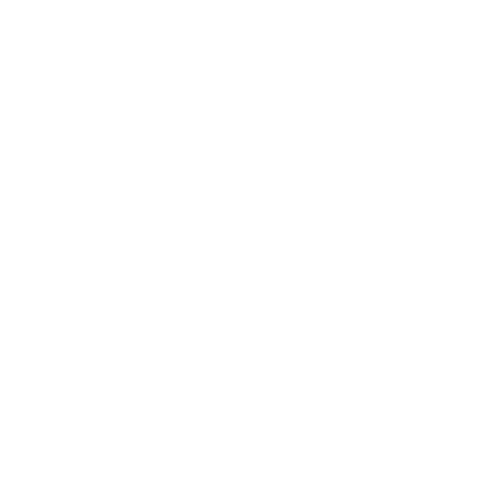 EVA-Fahrermatte für Ford Mondeo MK1 1993-1996 - Umriss