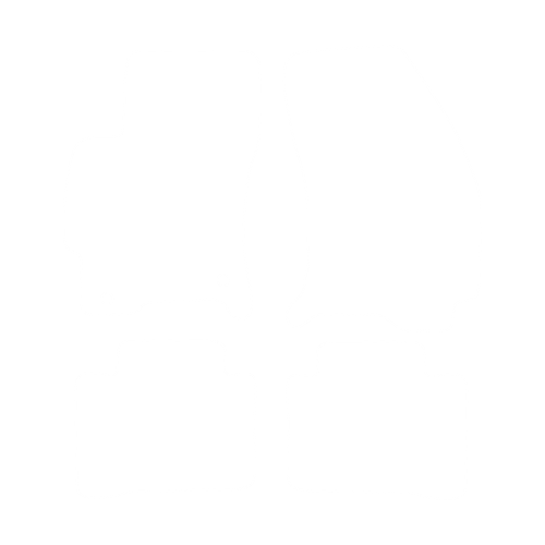 EVA-Fahrermatte für Ford Mondeo MK3 2000-2007 - Umriss