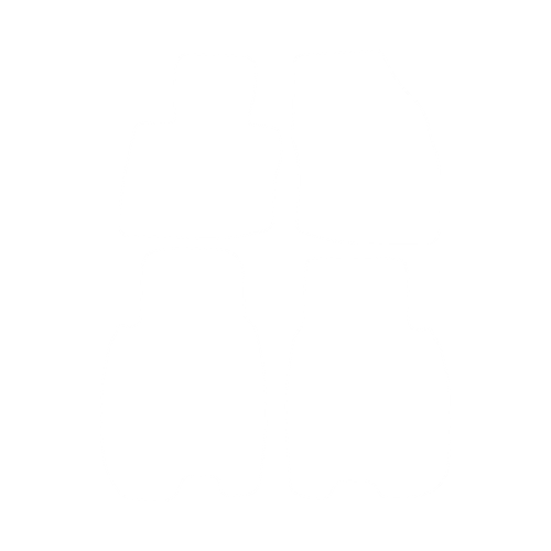 EVA-Fahrermatte für Honda Civic VIII (3 Türen) 2006-2011- - Umriss