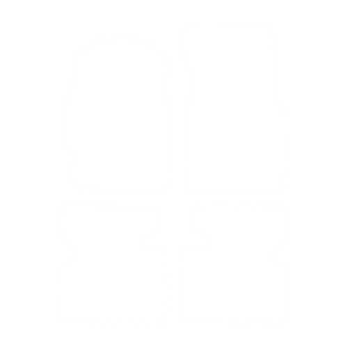 EVA-Fahrermatte für Honda Civic VI (3 Türen) 1996-2000 - Umriss