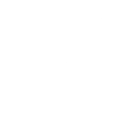 EVA-Fahrermatte für Jeep Cherokee III 2002-2007 - Umriss