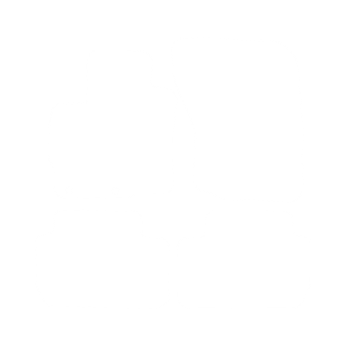 EVA-Fahrermatte für Mitsubishi Outlander III 2013-2022 - Umriss