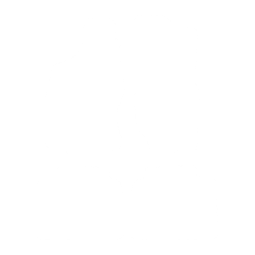 EVA-Fahrermatte für Nissan Terrano II 1993-2003 (3 Türen) 1993-2003 - Umriss