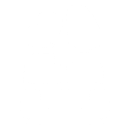 EVA-Fahrermatte für Ford S-max I (7 Sitze) 2006-2010 - Umriss