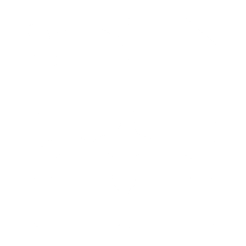 EVA-Fahrermatte für Peugeot 207 2006-2012 - Umriss