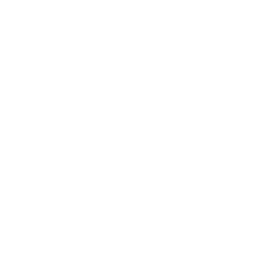 EVA-Fahrermatte für Porsche 911- type 996 1997-2006 - Umriss