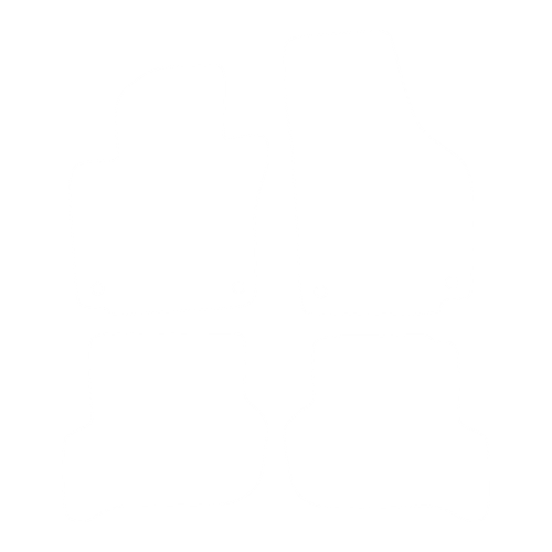 EVA-Fahrermatte für Seat Altea 2004-2015 - Umriss