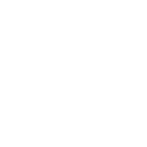 EVA-Fahrermatte für Volkswagen Transporter T6 (3 Sitze) 2015-2023 - Umriss