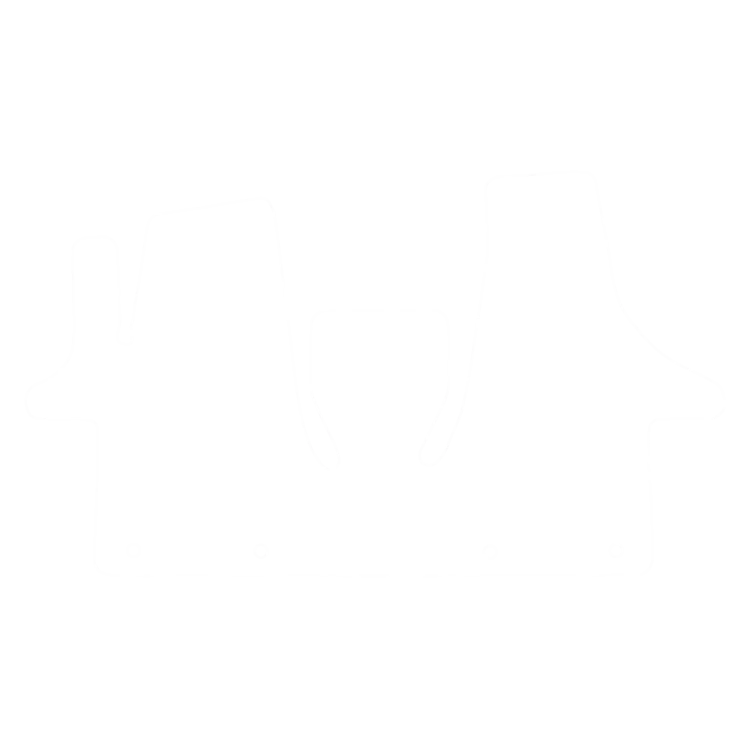 EVA-Fahrermatte für Volkswagen Transporter T6 (3 Sitze) 2015-2023 - Umriss