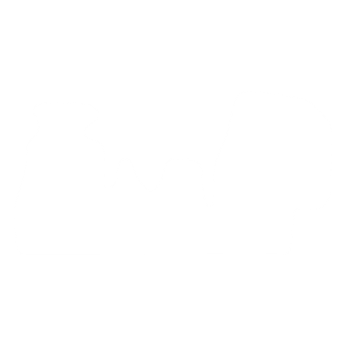 EVA-Fahrermatte für Volkswagen LT (3 Sitze) 1996-2005 - Umriss