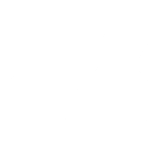EVA-Fahrermatte für Volkswagen Transporter - Front 2-piece 1990-2003 - Umriss