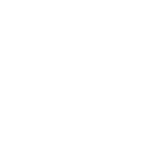 EVA-Fußmatten vorne für Audi RS3 II 8P 2003-2013 - Umriss