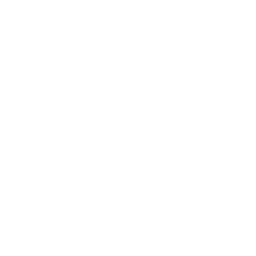 EVA-Fußmatten vorne für Citroen Berlingo II (5 Sitze) 2008-2018 - Umriss