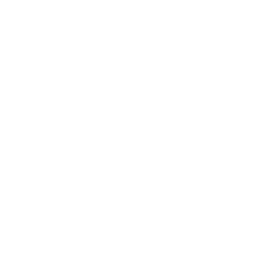 EVA-Fußmatten vorne für Ford Focus MK1 Facelift 2000-2004 - Umriss