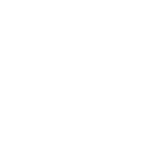 EVA-Fußmatten vorne für Land Rover Freelander I 1998-2006 - Umriss