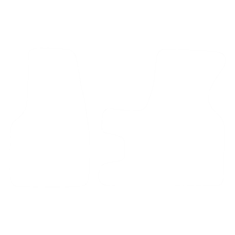 EVA-Fußmatten vorne für Volkswagen Transporter - Front 2-piece 1990-2003 - Umriss