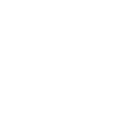 EVA-Fußmatten-Set für Audi Q5 I 8R 2008-2016 - Umriss