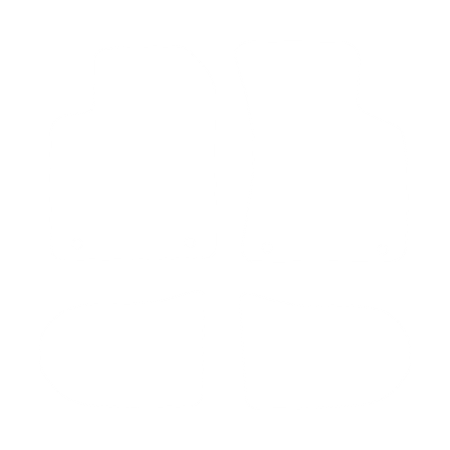 EVA-Fußmatten-Set für Audi TT I 8N 1998-2006 - Umriss