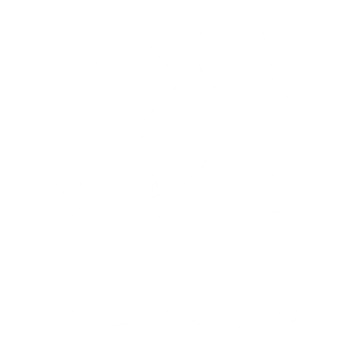 EVA-Fußmatten-Set für Audi S6 II C5 1997-2004 - Umriss