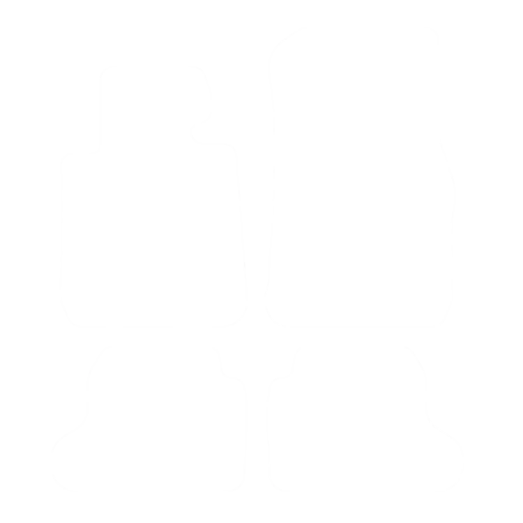 EVA-Fußmatten-Set für BMW 2er F22 2014-2023 - Umriss