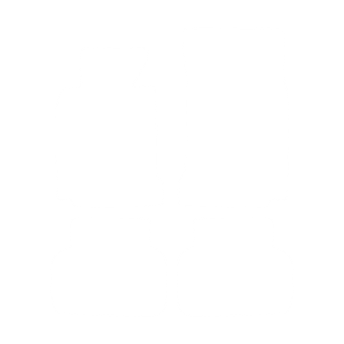 EVA-Fußmatten-Set für BMW 5er E39 1996-2003 - Umriss