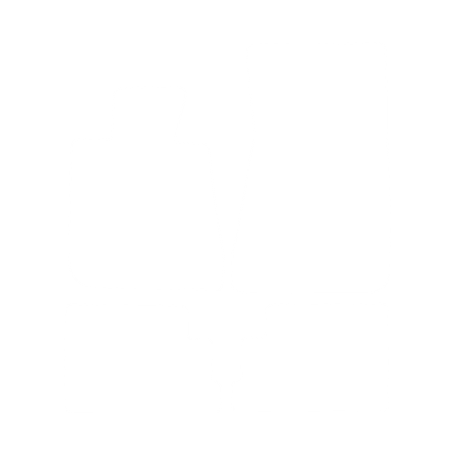EVA-Fußmatten-Set für BMW 6er E24 1975-1989 - Umriss
